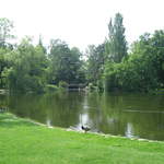 Lake at Ogród Saski