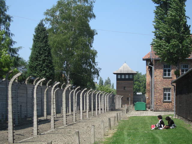 Contemplation Auschwitz