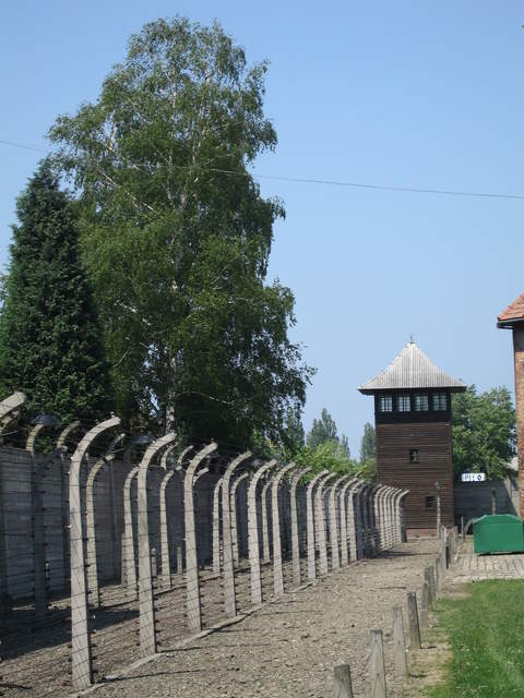Electrified fence and guard tower at Auschwitz