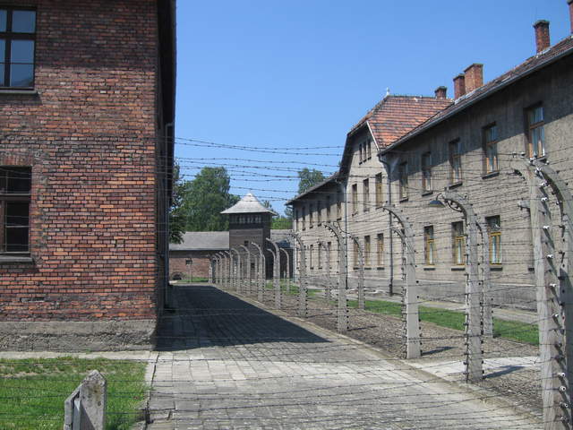 Fences at Auschwitz