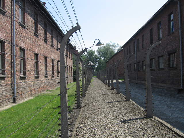 Fences at Auschwitz