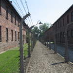 Fences at Auschwitz