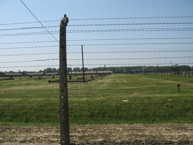 Fence at Birkenau