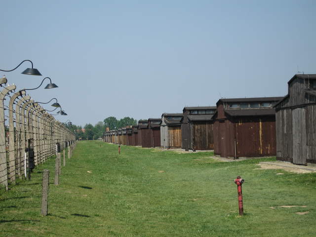 Fence and buildings at Birkenau
