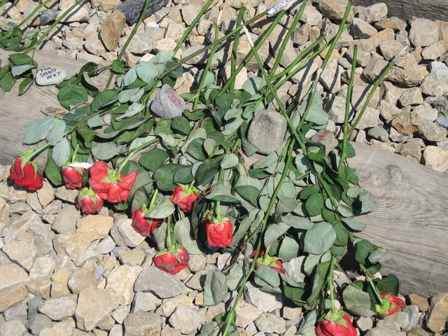 Roses at the entrance to Birkenau