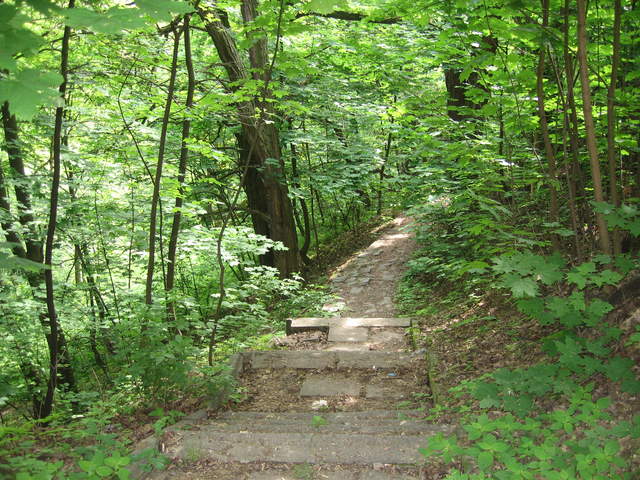 Path into the woods near Kosciuszko's Mound
