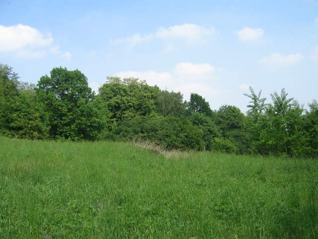 Fields below Kosciuszko's Mound