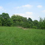 Fields below Kosciuszko's Mound