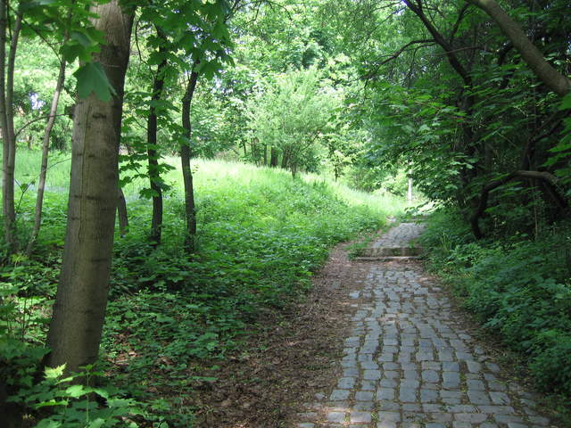 Path into the woods near Kosciuszko's Mound