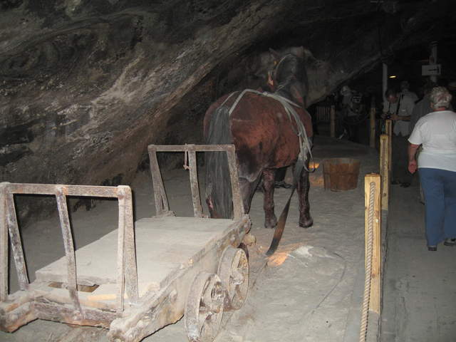 Horse and cart at Wieliczka Salt Mines