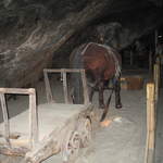 Horse and cart at Wieliczka Salt Mines
