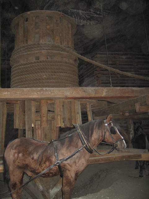 Mechanical lift at Wieliczka Salt Mines