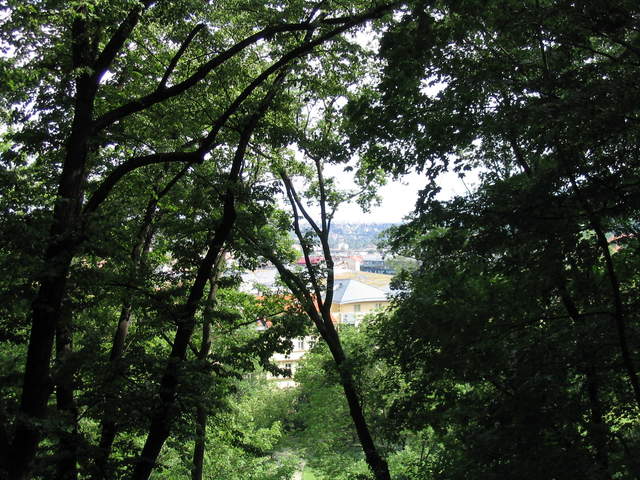View through the trees on Petřín Hill