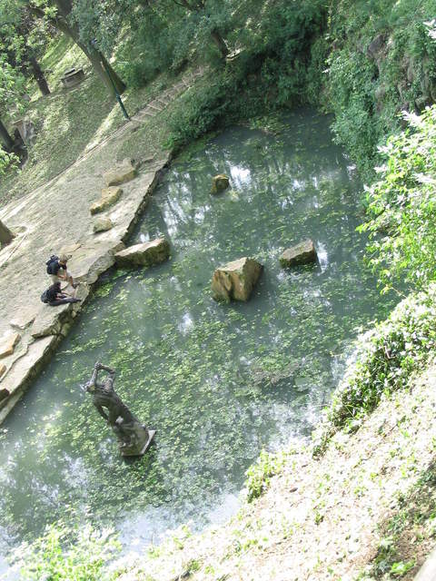 Pond