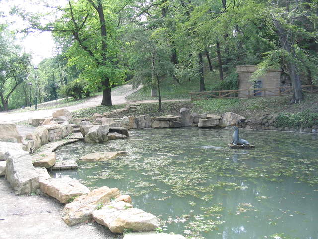 Pond