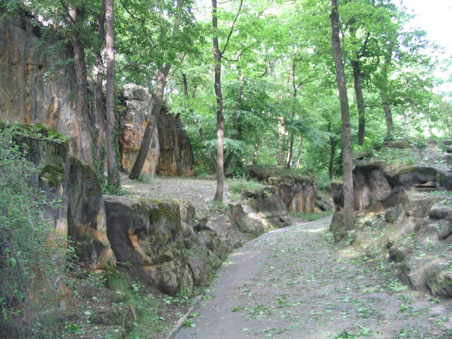 Pathway through the rocks