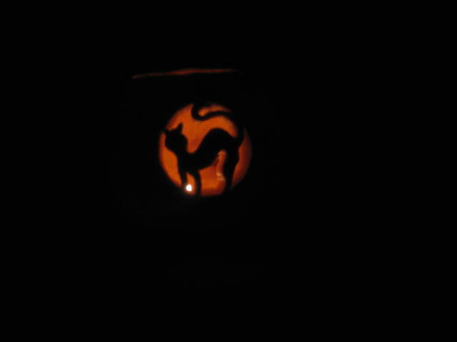 Witches Cat Pumpkin