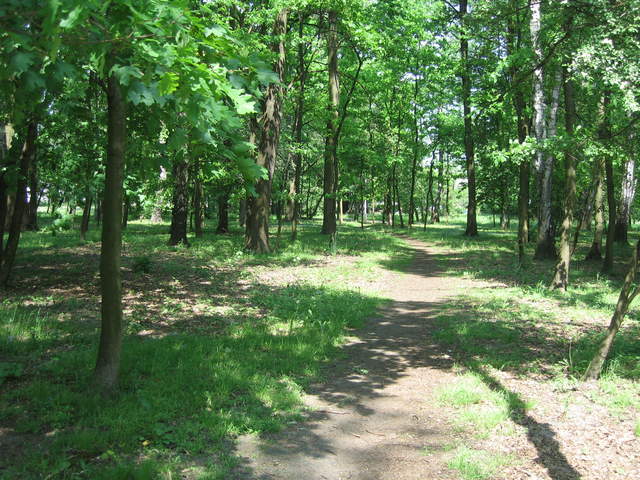 IMG_0042.JPG