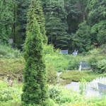 Gardens on top of Petřín Hill