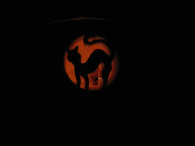 Witches Cat Pumpkin