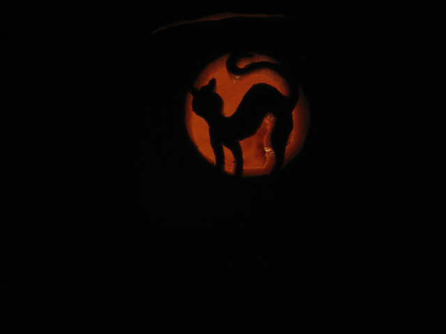 Witches Cat Pumpkin