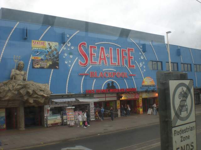 Sea Life Centre