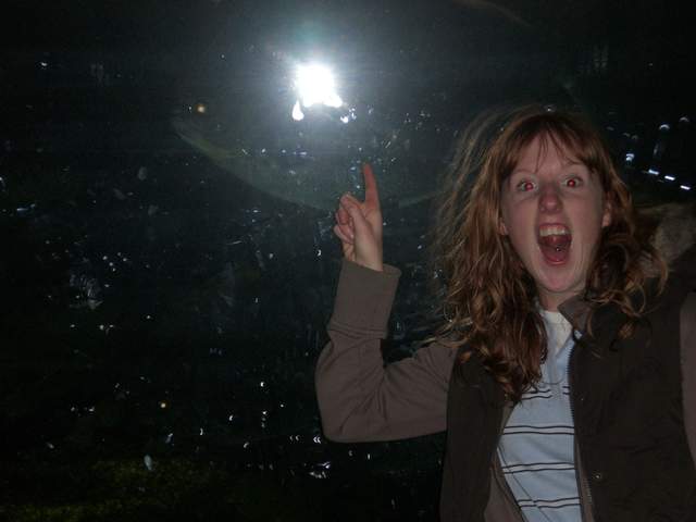 There is a big fish in this picture, really