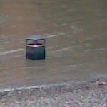 Underwater bin near Blackfriars bridge