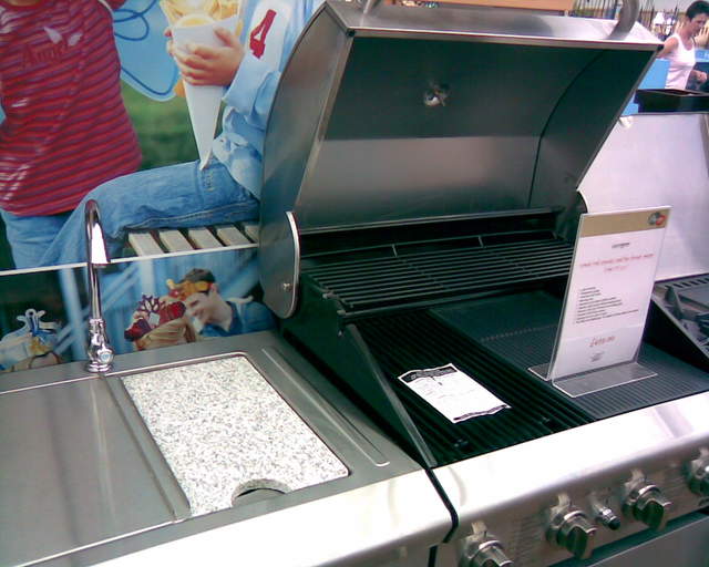 The worlds most ridiculous bbq.  inc. kitchen sink
