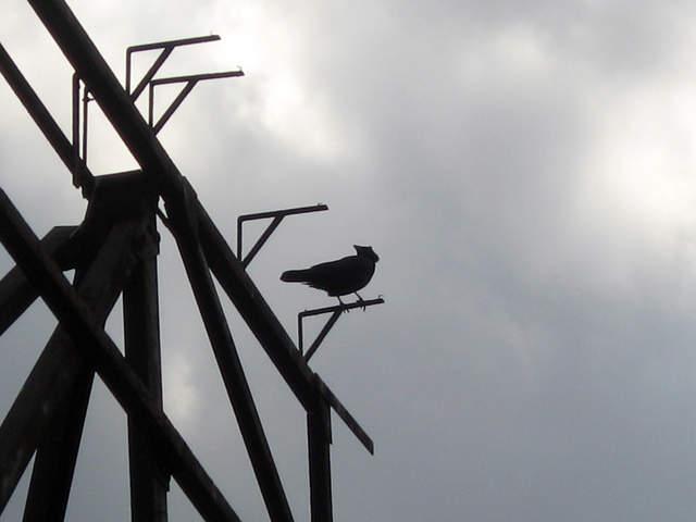 IMG_0204.JPG
