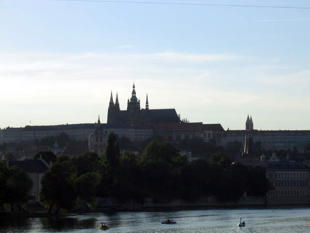 IMG_1363.jpg