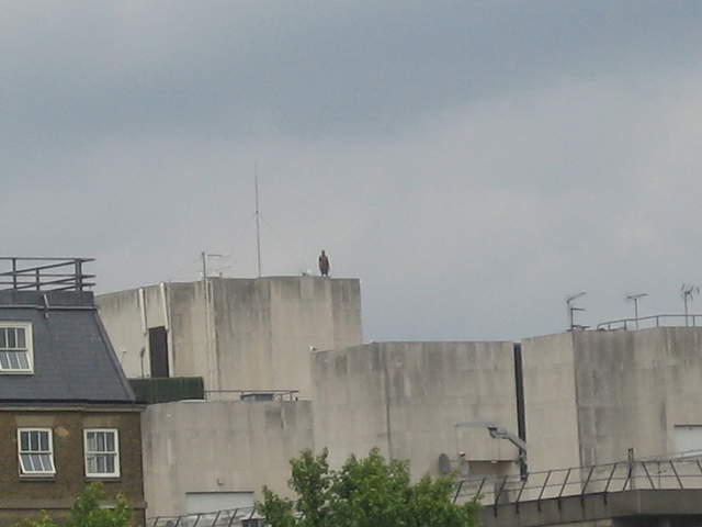 IMG_0184.JPG