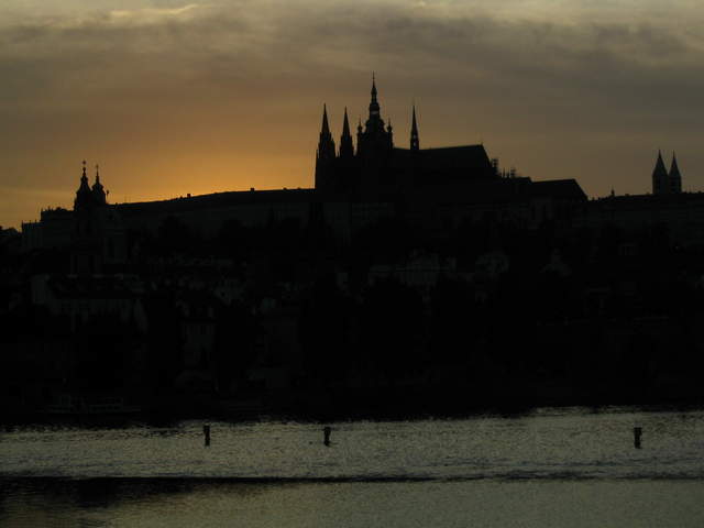 IMG_1377.jpg