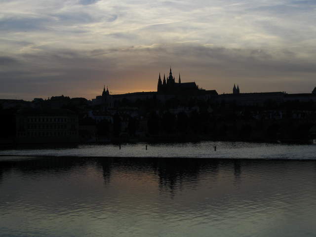 IMG_1381.jpg
