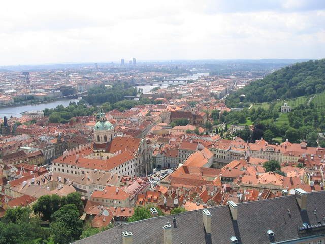 IMG_1197.jpg
