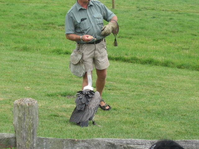 IMG_0506.JPG