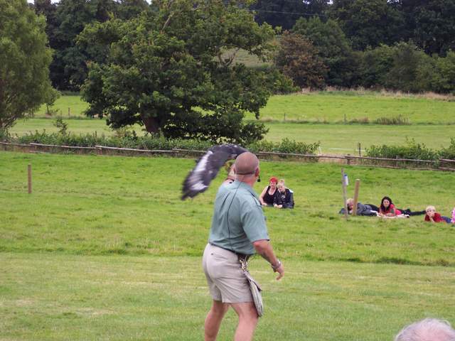 100_3873.JPG