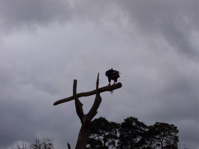100_3874.JPG