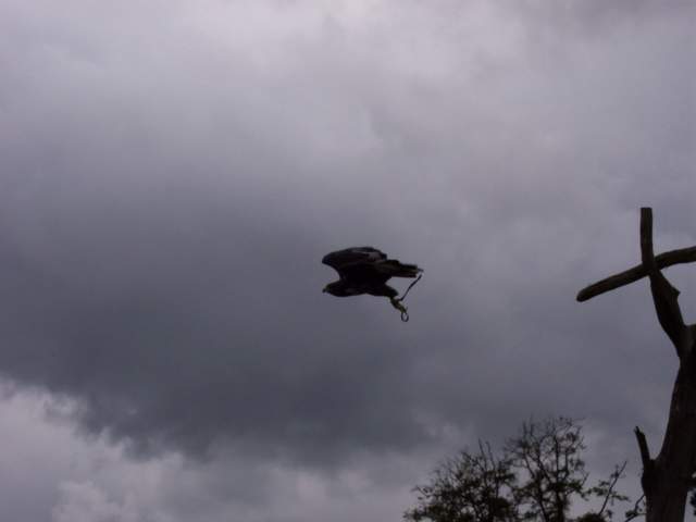 100_3875.JPG