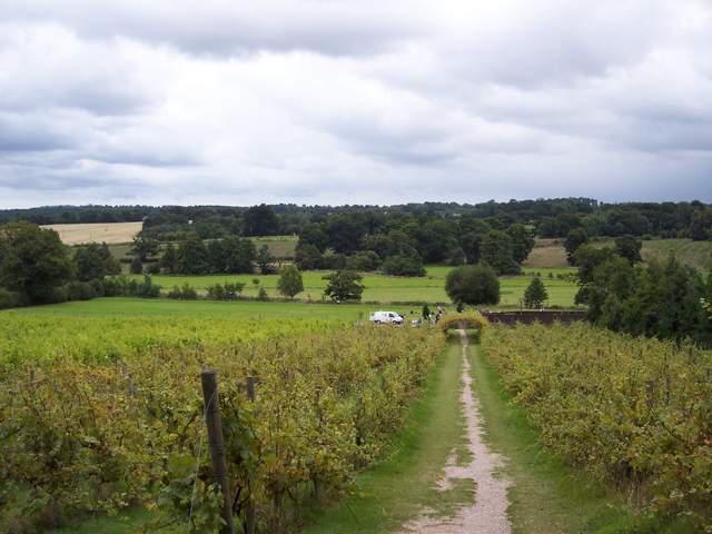 100_3877.JPG