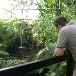 Alastair looking at the water, innit