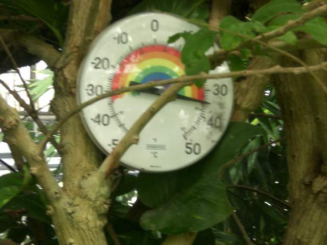 Hot!