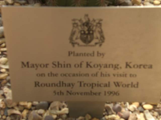 Plaque