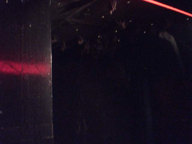 Bats - it was dark!