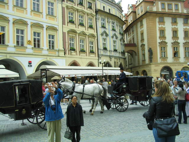IMG_1025.jpg