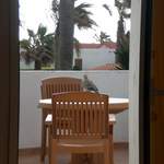Regular visitor to our terrace