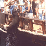Fishy film