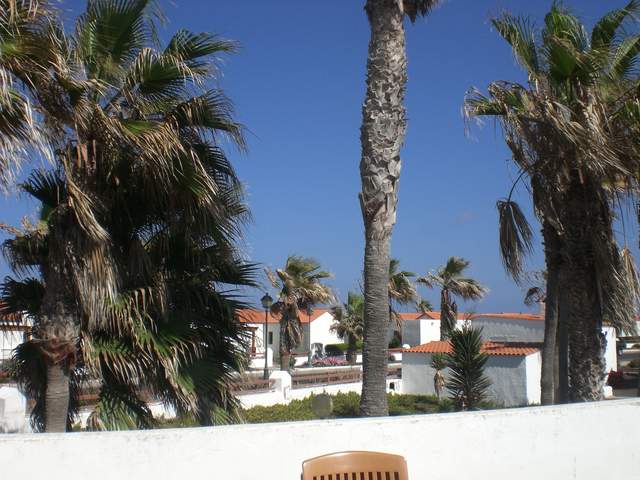 View from our terrace