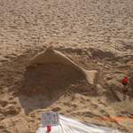 Sand dolphin