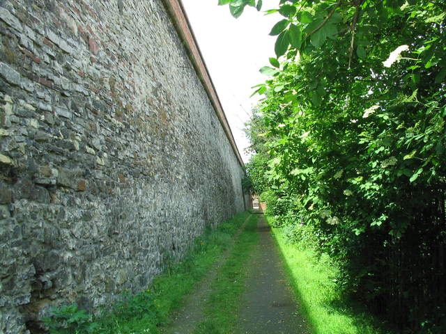 IMG_1038.jpg